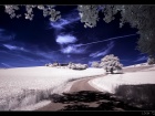 Infrared Photography